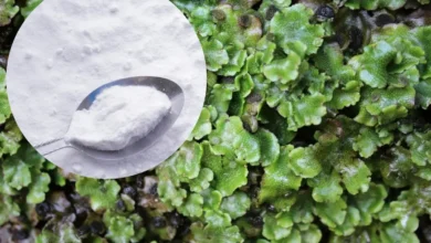 lebermoos bekämpfen