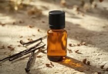 konzentrierter auszug